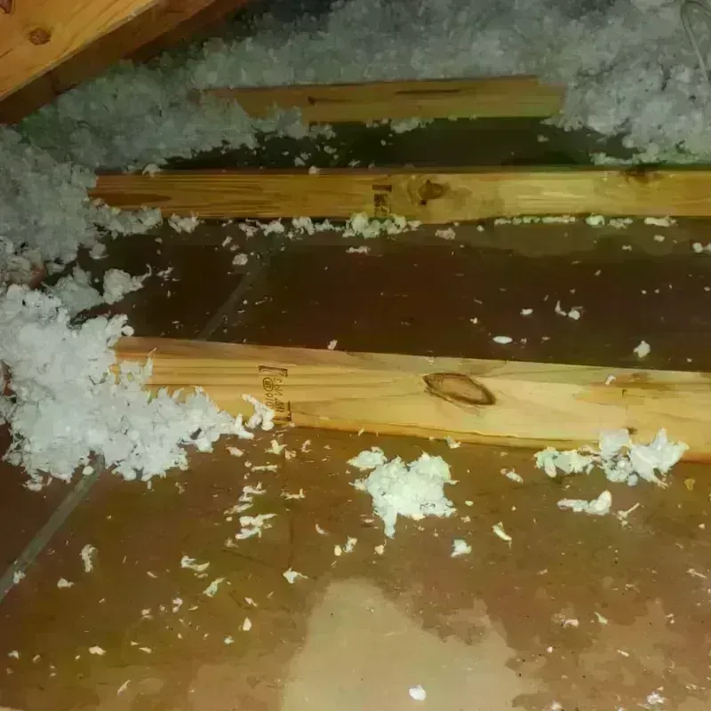 Attic Water Damage in Carlsbad, NM